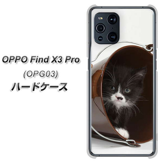 au オッポ Find X3 Pro OPG03 高画質仕上げ 背面印刷 ハードケース【VA800 ネコとバケツ】