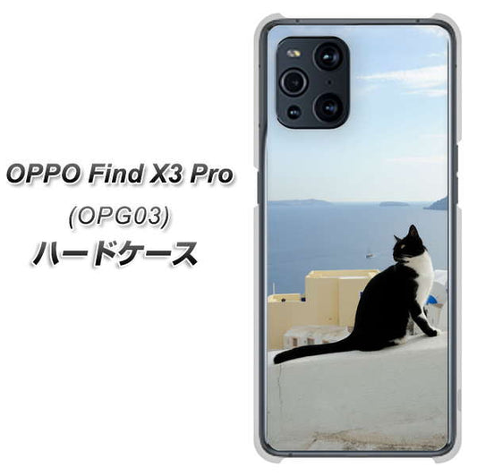 au オッポ Find X3 Pro OPG03 高画質仕上げ 背面印刷 ハードケース【VA805 ネコと地中海】