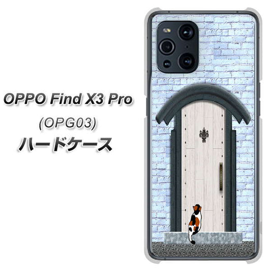 au オッポ Find X3 Pro OPG03 高画質仕上げ 背面印刷 ハードケース【YA951 石ドア01】