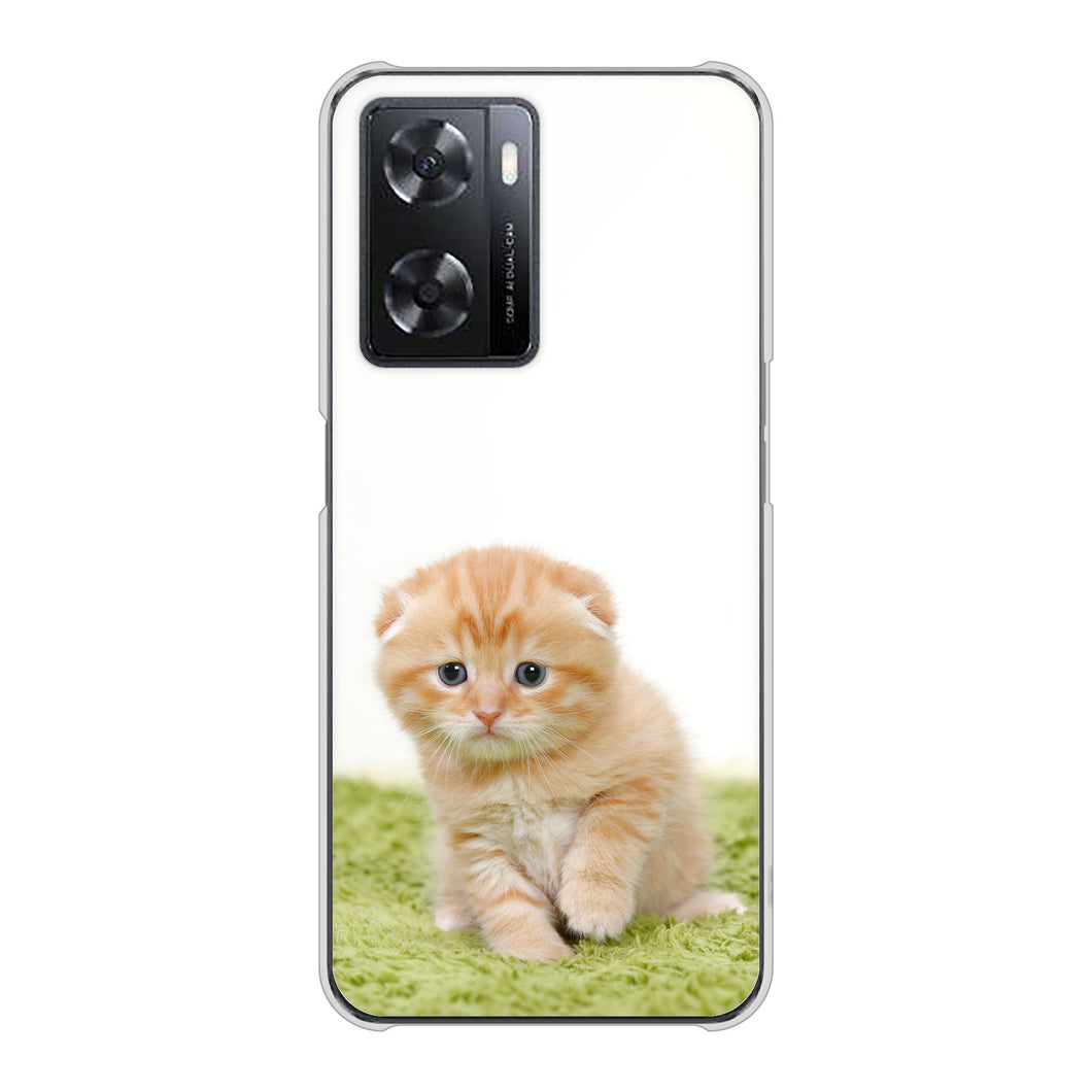 OPPO A77 高画質仕上げ 背面印刷 ハードケース【VA802 ネコこっそり】