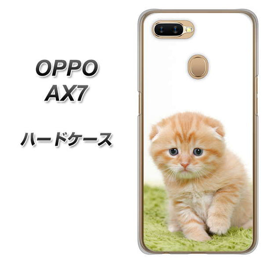 OPPO(オッポ) AX7 高画質仕上げ 背面印刷 ハードケース【VA802 ネコこっそり】