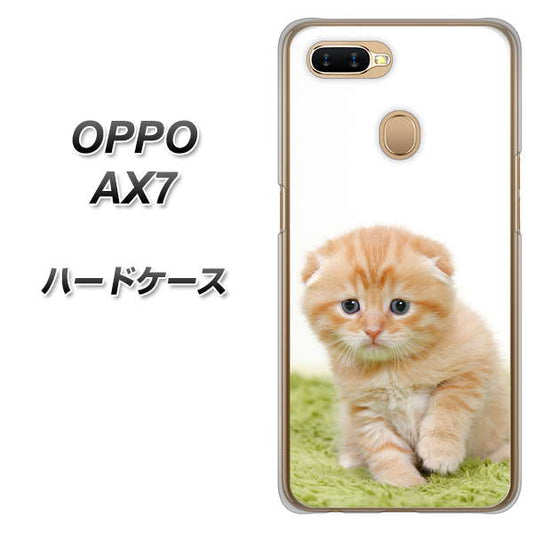 OPPO（オッポ） AX7 高画質仕上げ 背面印刷 ハードケース【VA802 ネコこっそり】