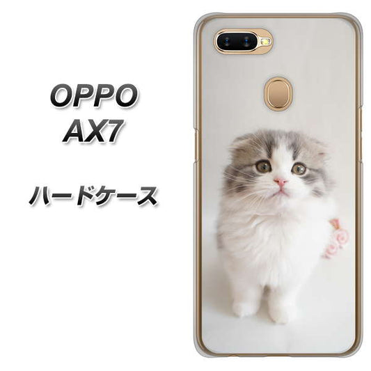 OPPO(オッポ) AX7 高画質仕上げ 背面印刷 ハードケース【VA803 まっていますネコ】