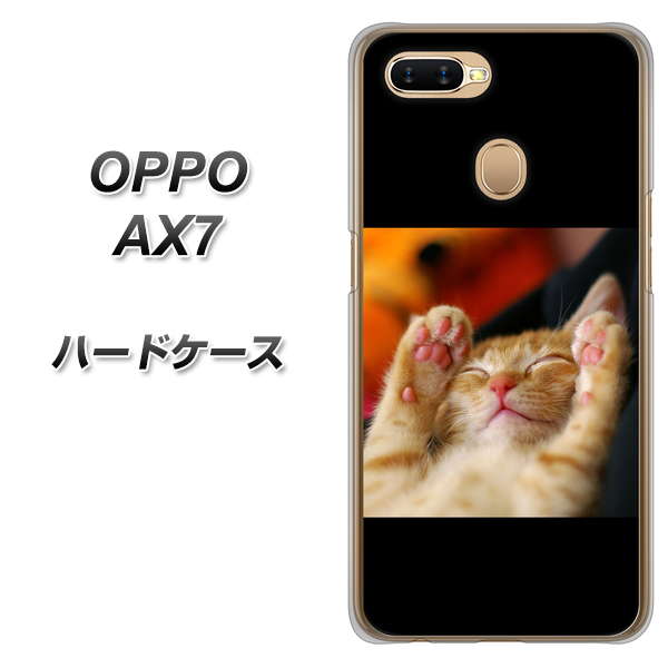 OPPO(オッポ) AX7 高画質仕上げ 背面印刷 ハードケース【VA804 爆睡するネコ】