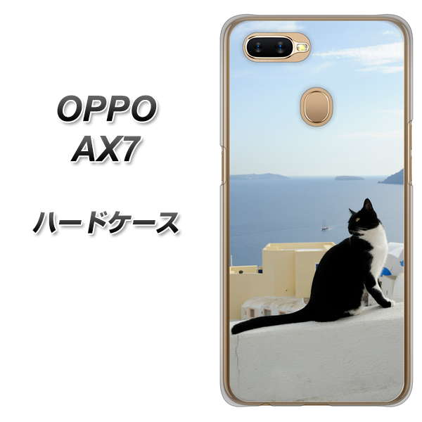 OPPO(オッポ) AX7 高画質仕上げ 背面印刷 ハードケース【VA805 ネコと地中海】