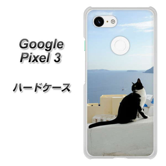 Google Pixel 3 高画質仕上げ 背面印刷 ハードケース【VA805 ネコと地中海】