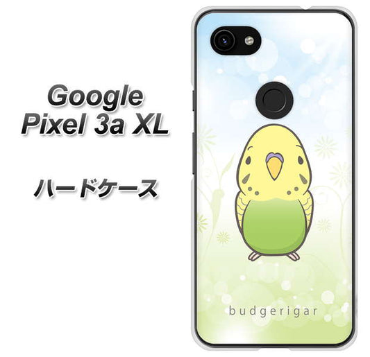 Google Pixel 3a XL 高画質仕上げ 背面印刷 ハードケース【SC838 セキセイインコ グリーン】