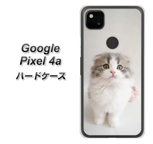 Google Pixel 4a 高画質仕上げ 背面印刷 ハードケース【VA803 まっていますネコ】