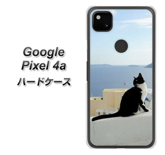 Google Pixel 4a 高画質仕上げ 背面印刷 ハードケース【VA805 ネコと地中海】