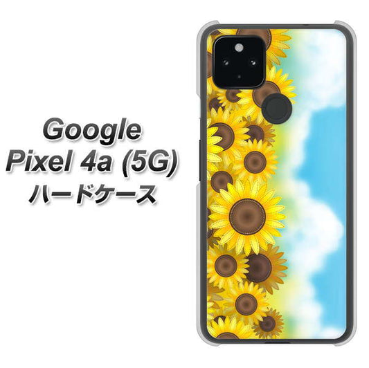 Google Pixel 4a (5G) 高画質仕上げ 背面印刷 ハードケース【148 ひまわり畑】