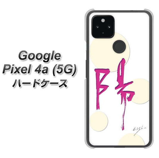 Google Pixel 4a (5G) 高画質仕上げ 背面印刷 ハードケース【OE833 陽】
