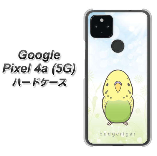 Google Pixel 4a (5G) 高画質仕上げ 背面印刷 ハードケース【SC838 セキセイインコ グリーン】