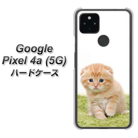Google Pixel 4a (5G) 高画質仕上げ 背面印刷 ハードケース【VA802 ネコこっそり】