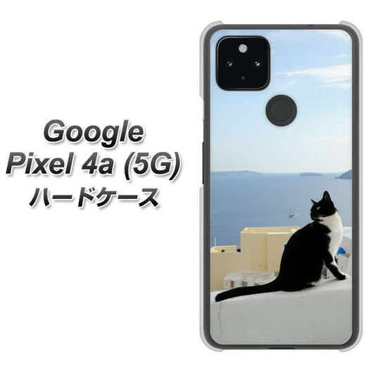 Google Pixel 4a (5G) 高画質仕上げ 背面印刷 ハードケース【VA805 ネコと地中海】