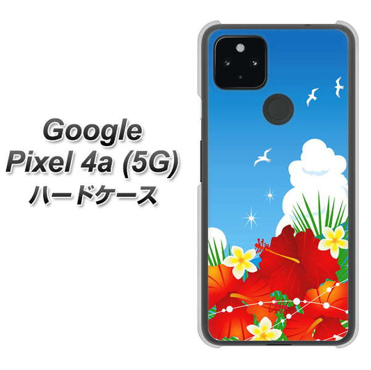 Google Pixel 4a (5G) 高画質仕上げ 背面印刷 ハードケース【VA821 ハイビスカスと青空】