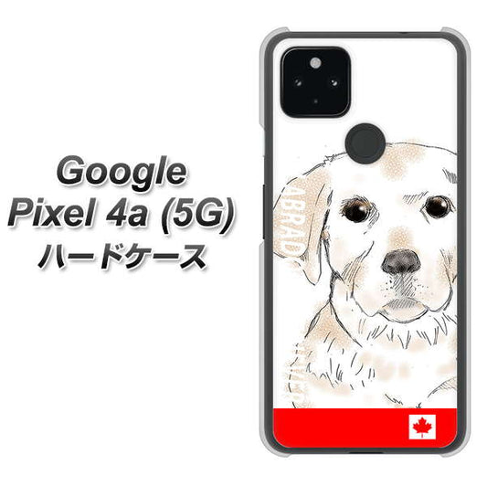 Google Pixel 4a (5G) 高画質仕上げ 背面印刷 ハードケース【YD821 ラブラドールレトリバー02】