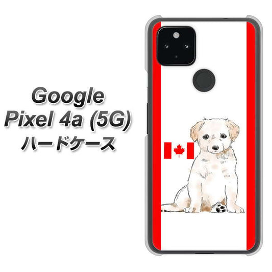 Google Pixel 4a (5G) 高画質仕上げ 背面印刷 ハードケース【YD824 ラブラドールレトリバー05】
