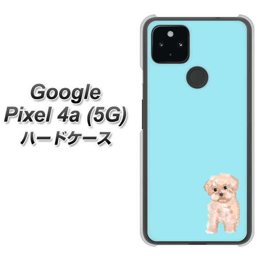 Google Pixel 4a (5G) 高画質仕上げ 背面印刷 ハードケース【YJ062 トイプードルアプリコット（ブルー）】