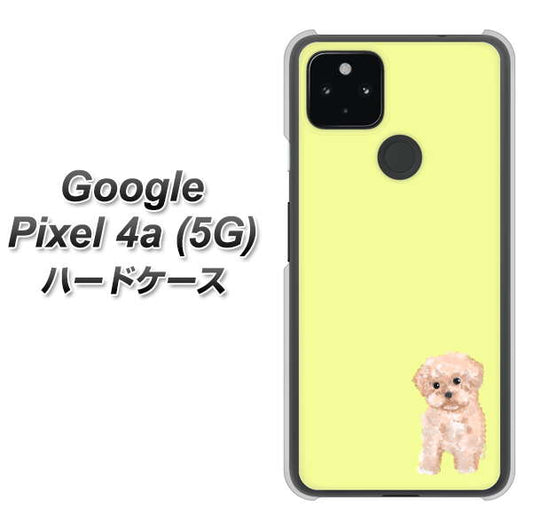 Google Pixel 4a (5G) 高画質仕上げ 背面印刷 ハードケース【YJ064 トイプードルアプリコット（イエロー）】