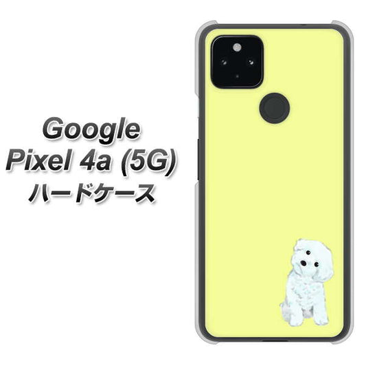 Google Pixel 4a (5G) 高画質仕上げ 背面印刷 ハードケース【YJ072 トイプードルホワイト（イエロー）】