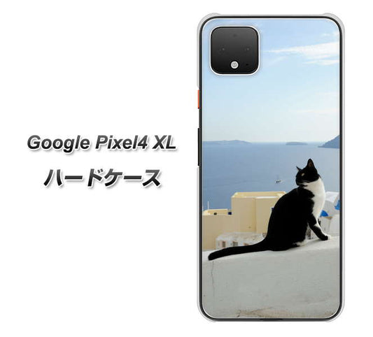 Google Pixel 4 XL 高画質仕上げ 背面印刷 ハードケース【VA805 ネコと地中海】