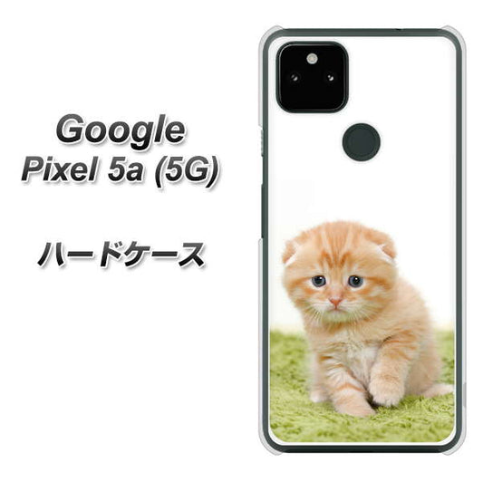 Google Pixel 5a (5G) 高画質仕上げ 背面印刷 ハードケース【VA802 ネコこっそり】