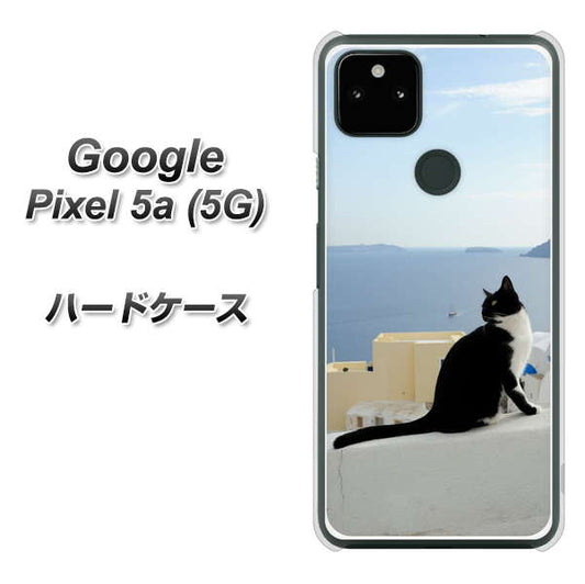 Google Pixel 5a (5G) 高画質仕上げ 背面印刷 ハードケース【VA805 ネコと地中海】