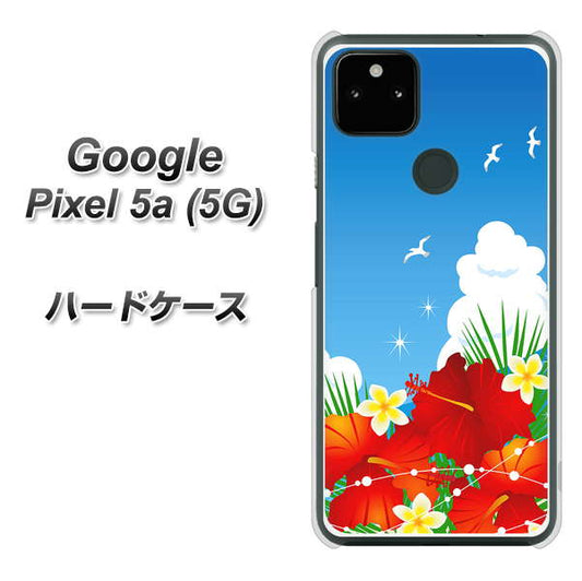 Google Pixel 5a (5G) 高画質仕上げ 背面印刷 ハードケース【VA821 ハイビスカスと青空】