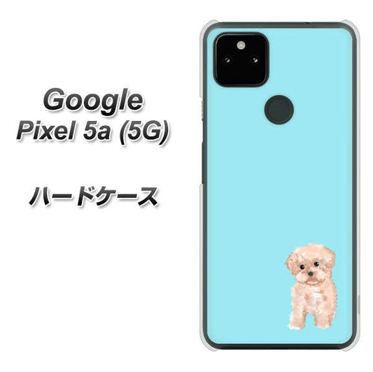 Google Pixel 5a (5G) 高画質仕上げ 背面印刷 ハードケース【YJ062 トイプードルアプリコット（ブルー）】