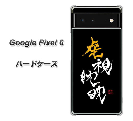 Google Pixel 6 高画質仕上げ 背面印刷 ハードケース【OE803 虎視眈々】