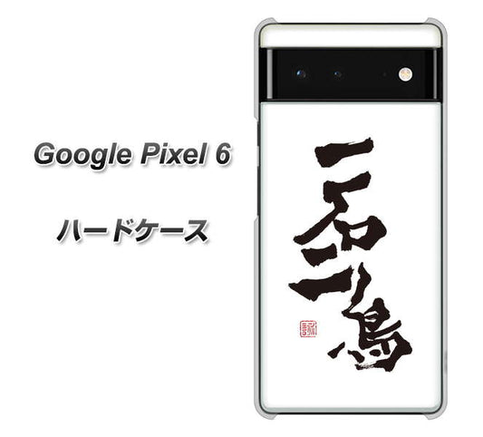 Google Pixel 6 高画質仕上げ 背面印刷 ハードケース【OE844 一石二鳥】