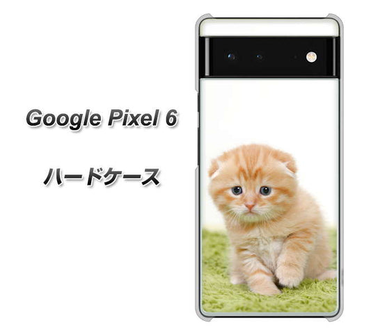 Google Pixel 6 高画質仕上げ 背面印刷 ハードケース【VA802 ネコこっそり】
