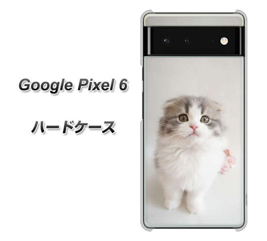 Google Pixel 6 高画質仕上げ 背面印刷 ハードケース【VA803 まっていますネコ】