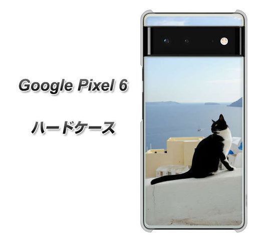 Google Pixel 6 高画質仕上げ 背面印刷 ハードケース【VA805 ネコと地中海】