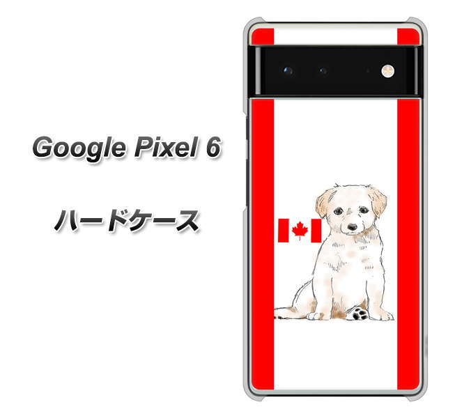Google Pixel 6 高画質仕上げ 背面印刷 ハードケース【YD824 ラブラドールレトリバー05】