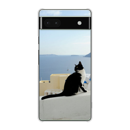 Google Pixel 6a 高画質仕上げ 背面印刷 ハードケース 【VA805 ネコと地中海】