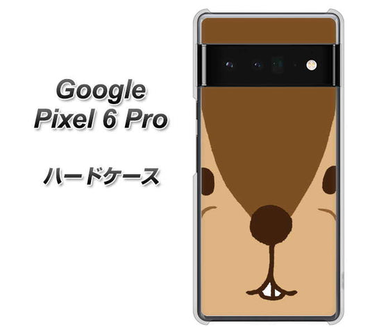 Google Pixel 6 Pro 高画質仕上げ 背面印刷 ハードケース【349 りす】