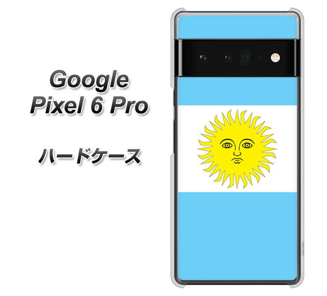 Google Pixel 6 Pro 高画質仕上げ 背面印刷 ハードケース【666 アルゼンチン】