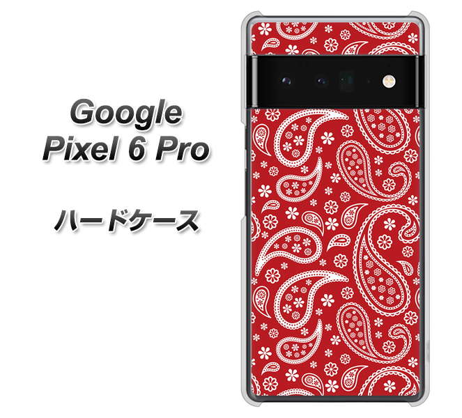 Google Pixel 6 Pro 高画質仕上げ 背面印刷 ハードケース【765 ペイズリーエンジ】
