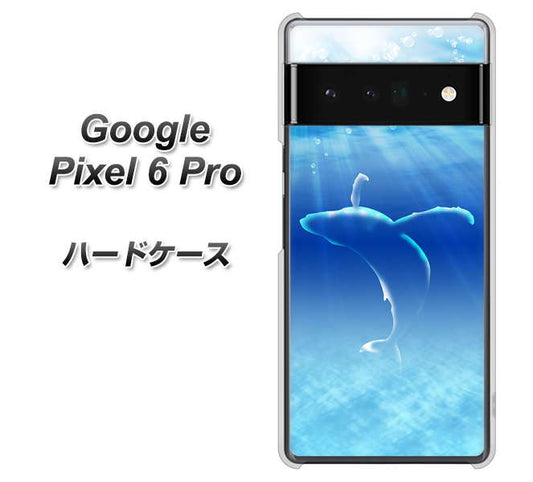 Google Pixel 6 Pro 高画質仕上げ 背面印刷 ハードケース【1047 海の守り神くじら】