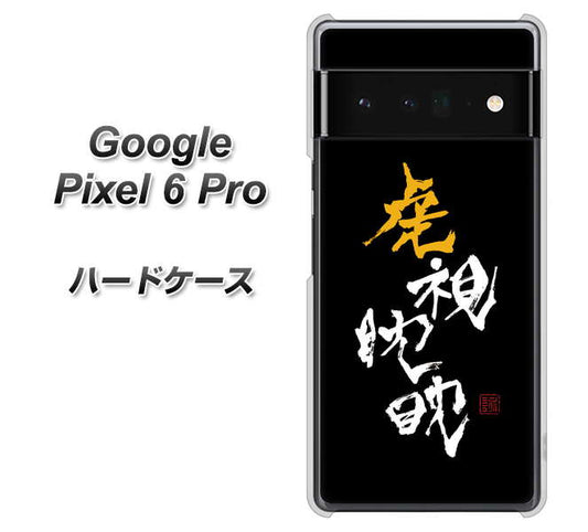 Google Pixel 6 Pro 高画質仕上げ 背面印刷 ハードケース【OE803 虎視眈々】