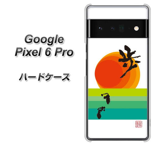 Google Pixel 6 Pro 高画質仕上げ 背面印刷 ハードケース【OE809 歩ム】