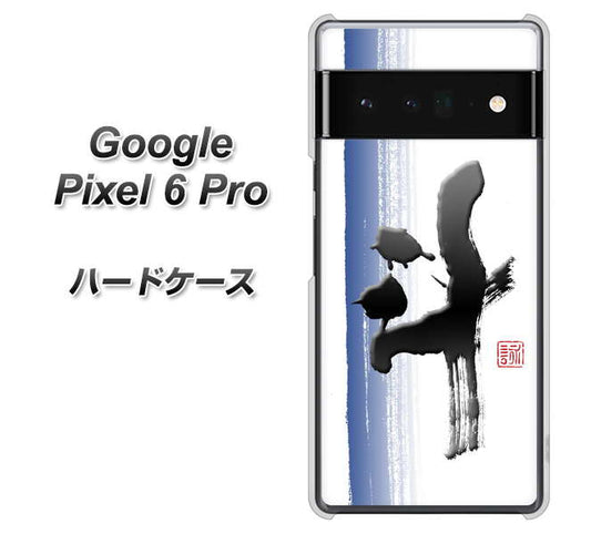 Google Pixel 6 Pro 高画質仕上げ 背面印刷 ハードケース【OE829 斗】