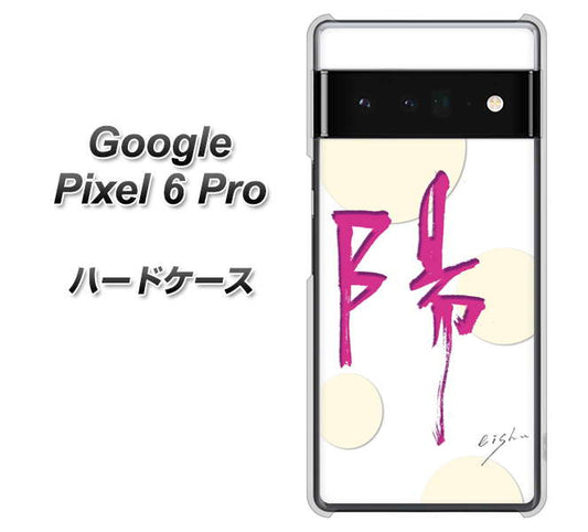 Google Pixel 6 Pro 高画質仕上げ 背面印刷 ハードケース【OE833 陽】