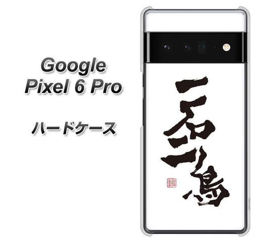 Google Pixel 6 Pro 高画質仕上げ 背面印刷 ハードケース【OE844 一石二鳥】