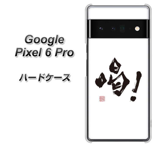 Google Pixel 6 Pro 高画質仕上げ 背面印刷 ハードケース【OE845 喝！】