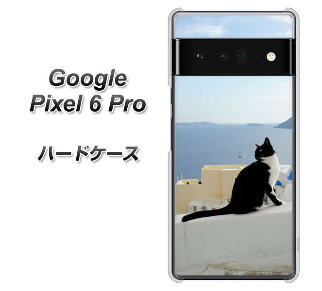 Google Pixel 6 Pro 高画質仕上げ 背面印刷 ハードケース【VA805 ネコと地中海】
