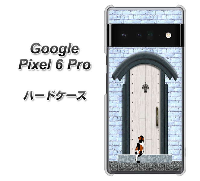 Google Pixel 6 Pro 高画質仕上げ 背面印刷 ハードケース【YA951 石ドア01】