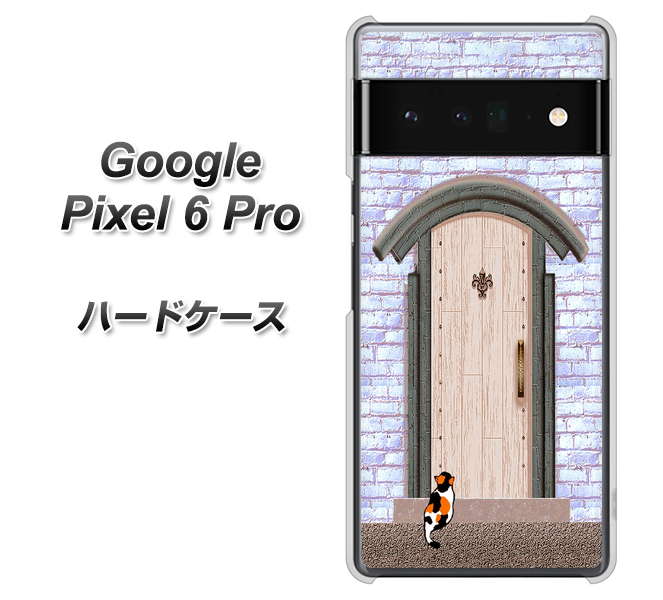 Google Pixel 6 Pro 高画質仕上げ 背面印刷 ハードケース【YA952 石ドア02 素材クリア】