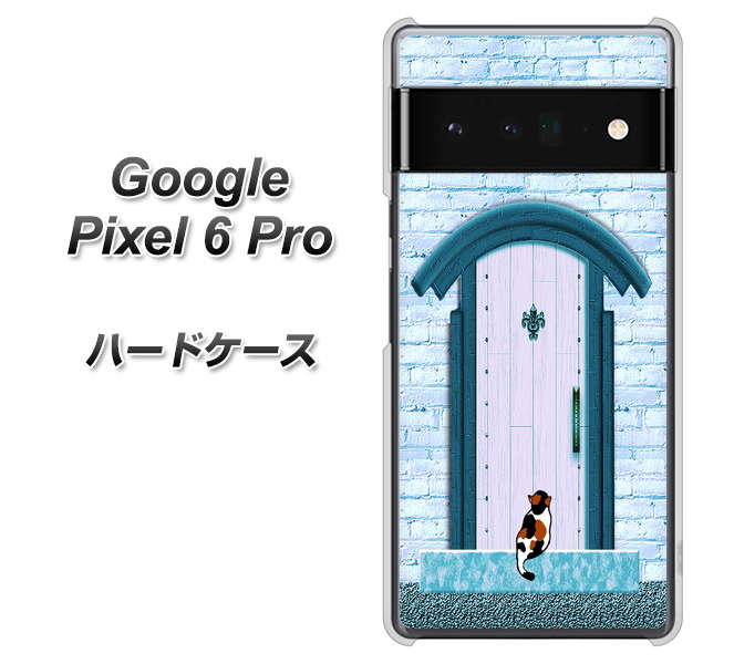 Google Pixel 6 Pro 高画質仕上げ 背面印刷 ハードケース【YA953 石ドア03 素材クリア】